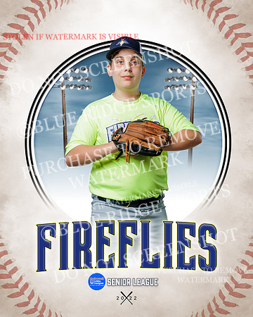 FIREFLIES 006 of 18
