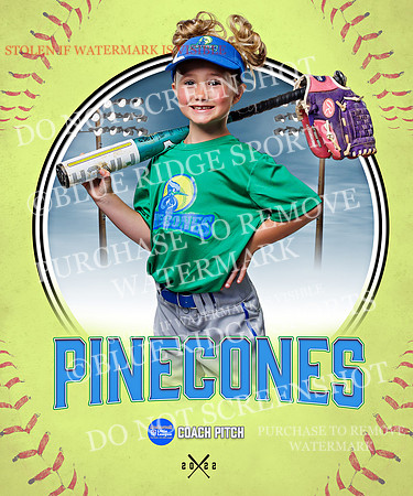 PINECONES 004 of 41