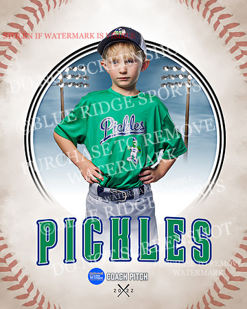 PICKLES 033 of 43