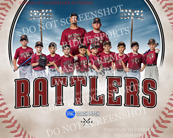 1 rattlers.team