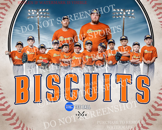 biscuits.team