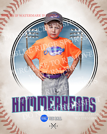 HAMMERHEADS 003 of 42
