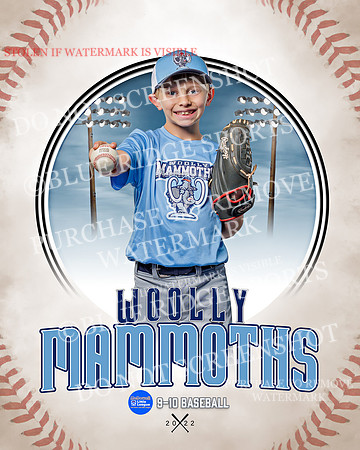 MAMMOTHS 002 of 36