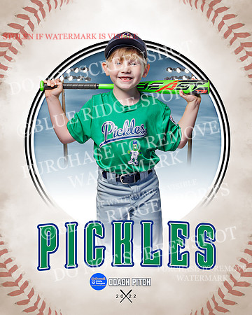 PICKLES 020 of 43