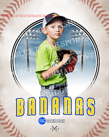 BANANAS 009 of 41