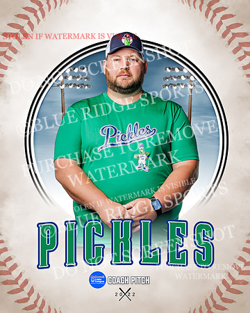 PICKLES 037 of 43