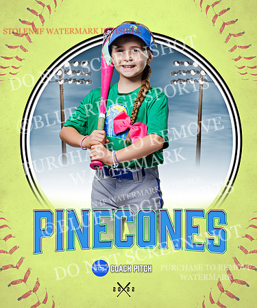 PINECONES 025 of 41