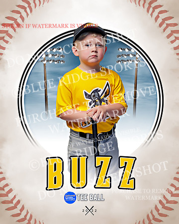 BUZZ 006 of 33