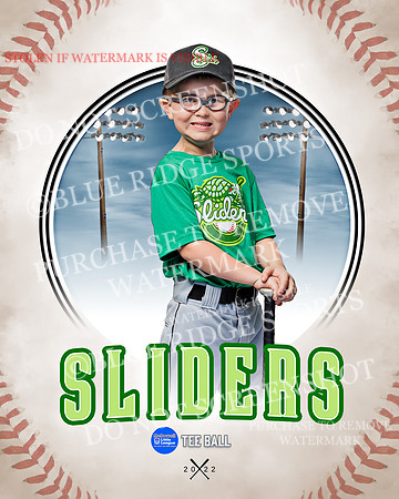 SLIDERS 041 of 49