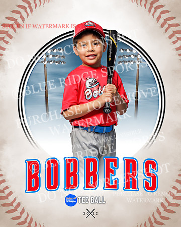 BOBBERS 009 of 45