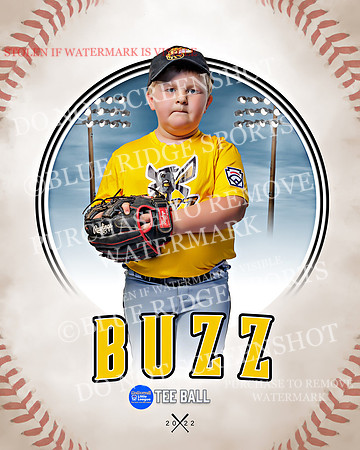 BUZZ 002 of 33