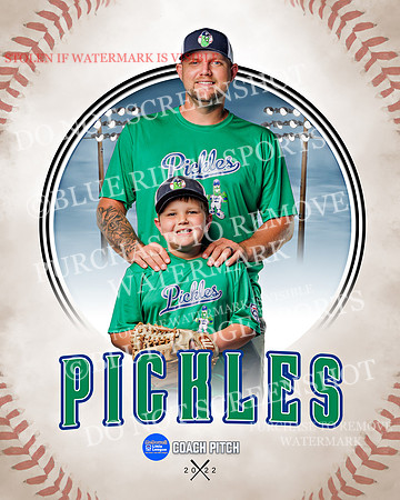 PICKLES 016 of 43