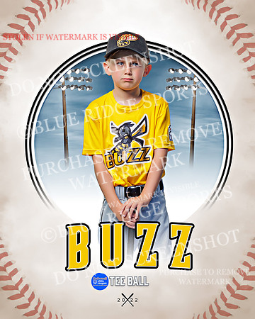 BUZZ 033 of 33