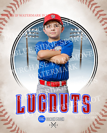LUGNUTS 040 of 40