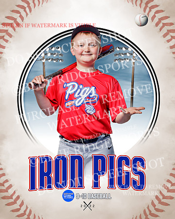 IRON PIGS 005 of 38
