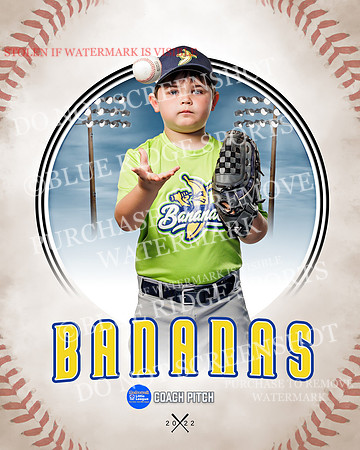BANANAS 032 of 41