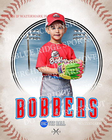 BOBBERS 012 of 45