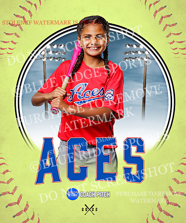 ACES 033 of 34