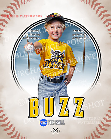 BUZZ 015 of 33