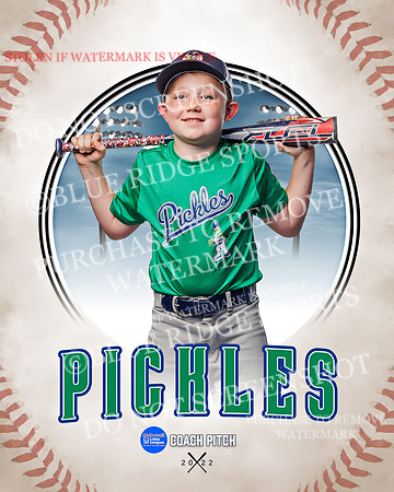 PICKLES 005 of 43