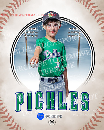 PICKLES 039 of 43