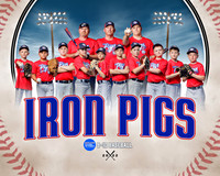 IRON PIGS