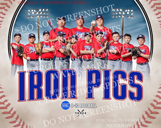 ironpigs.ind