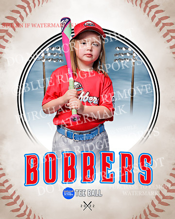 BOBBERS 021 of 45