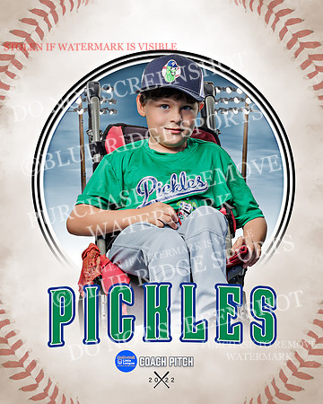 PICKLES 029 of 43