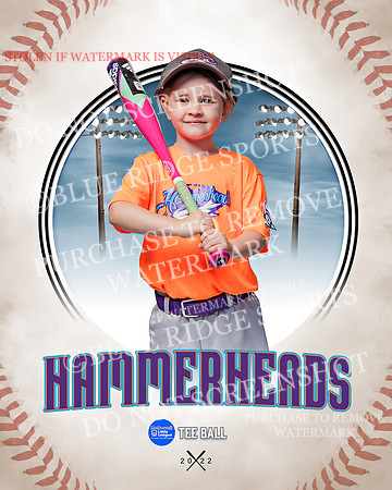 HAMMERHEADS 029 of 42