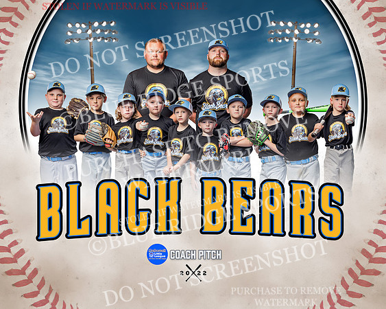 1 blackbears.team
