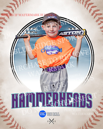 HAMMERHEADS 006 of 42