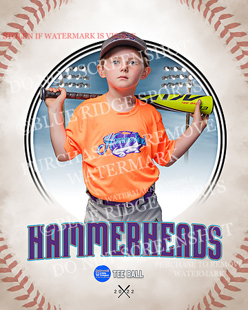 HAMMERHEADS 012 of 42
