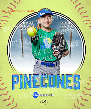 PINECONES 010 of 41