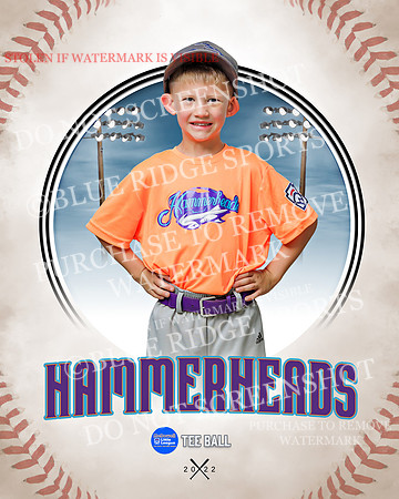 HAMMERHEADS 035 of 42