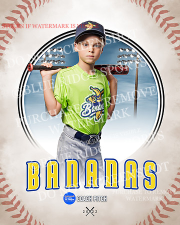 BANANAS 035 of 41