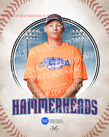 HAMMERHEADS 027 of 42