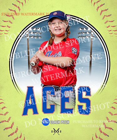 ACES 023 of 34