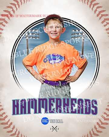HAMMERHEADS 038 of 42