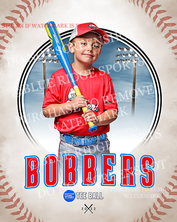 BOBBERS 019 of 45