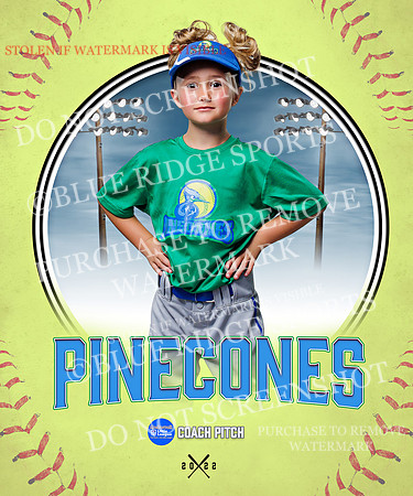 PINECONES 005 of 41