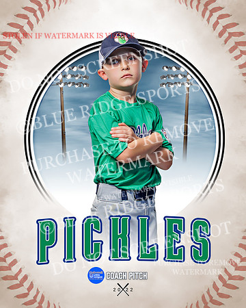 PICKLES 012 of 43