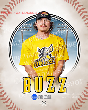 BUZZ 018 of 33
