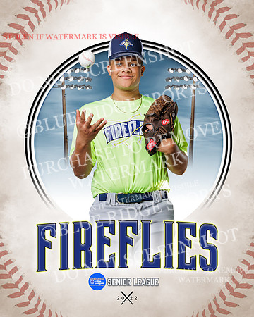 FIREFLIES 012 of 18