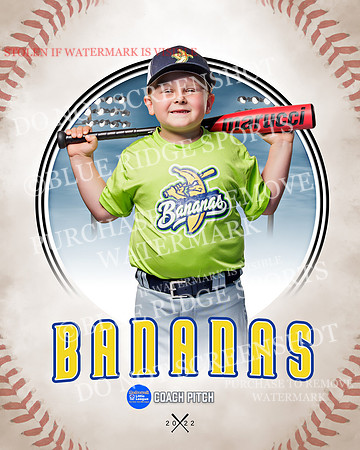 BANANAS 014 of 41