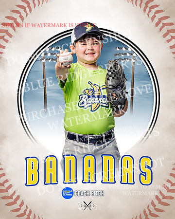 BANANAS 031 of 41