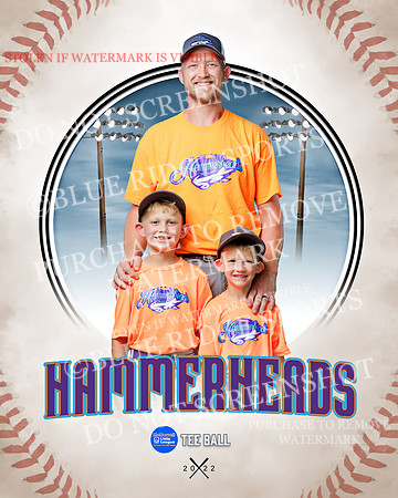 HAMMERHEADS 042 of 42