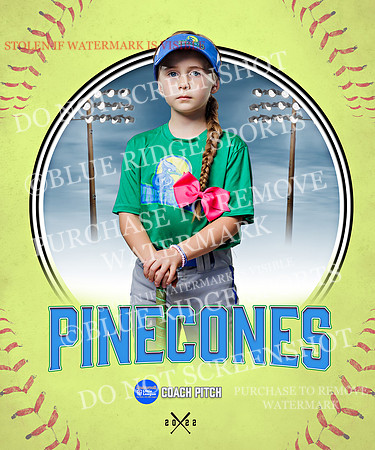 PINECONES 026 of 41