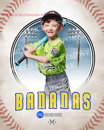 BANANAS 002 of 41