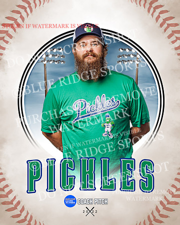 PICKLES 031 of 43